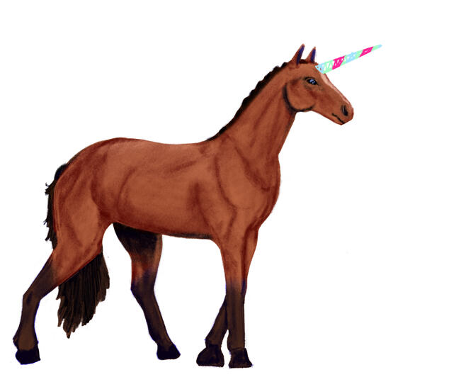 horse made unicorn